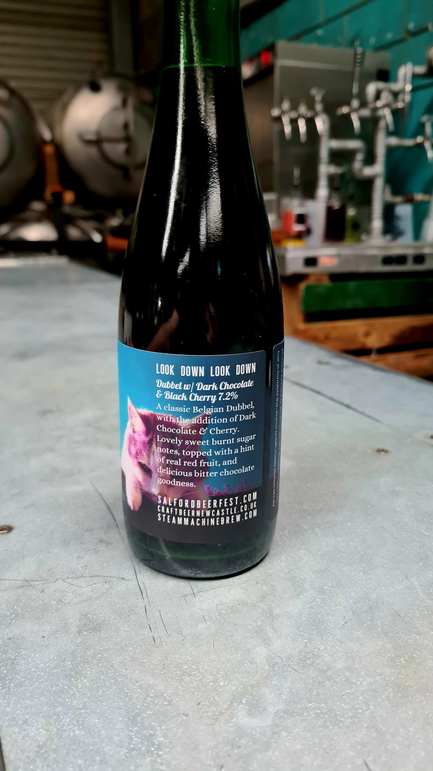 "Look Down Look Down" Dubbel w/ Dark Chocolate & Black Cherry 7.2% 375ml Bottle
